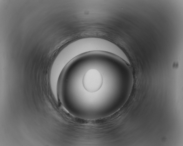 X0000111470356200907201142