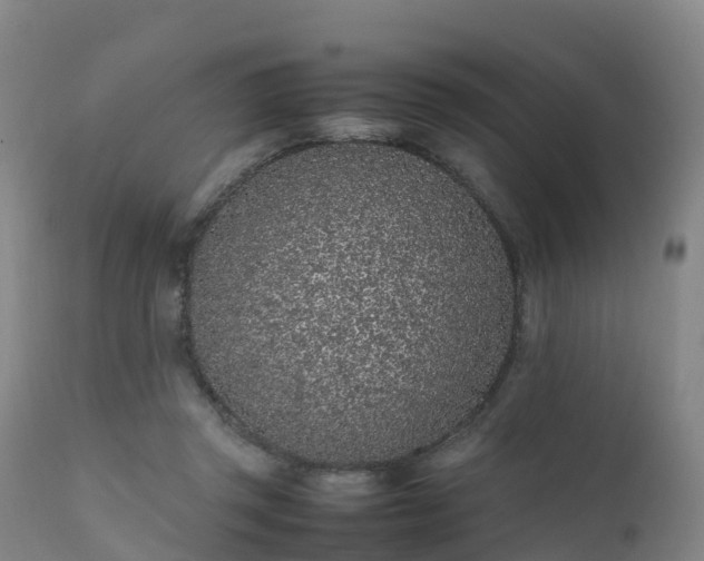 X0000111470357200907201142