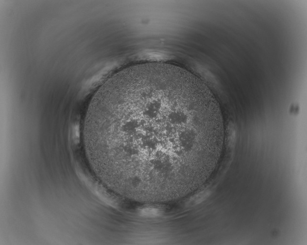 X0000111470358200907201142