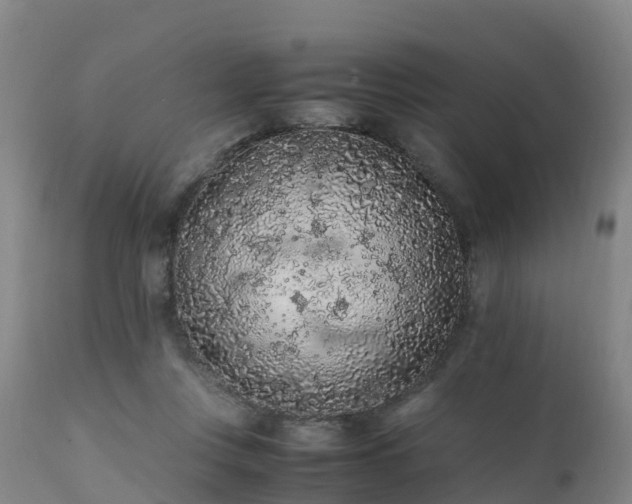 X0000111470359200907201142