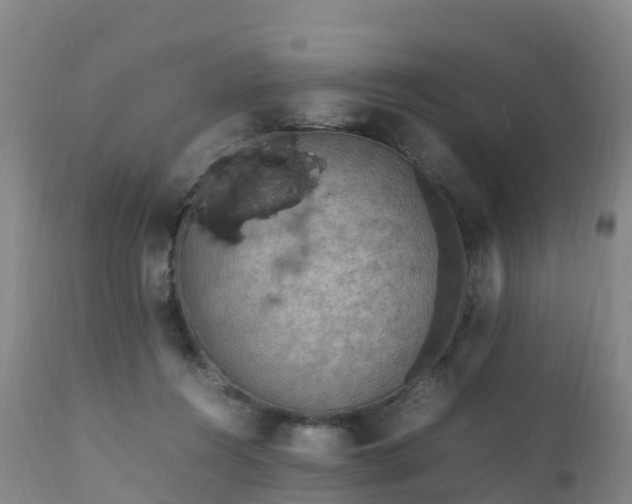 X0000111470360200907201142