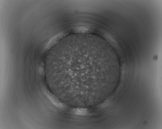 X0000111470361200907201142