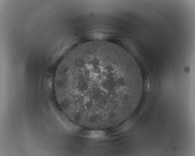 X0000111470363200907201142