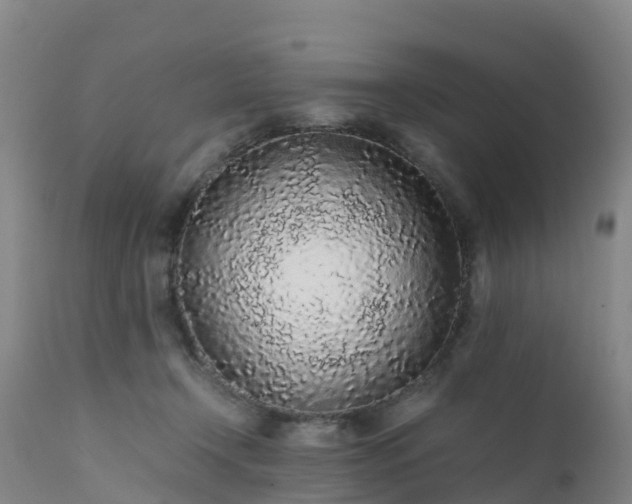 X0000111470366200907201142