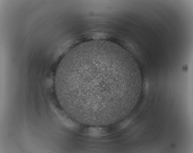 X0000111470367200907201142