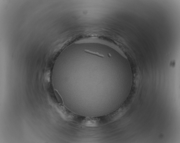 X0000111470368200907201142