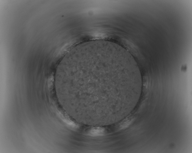 X0000111470369200907201142