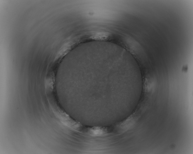 X0000111470370200907201142