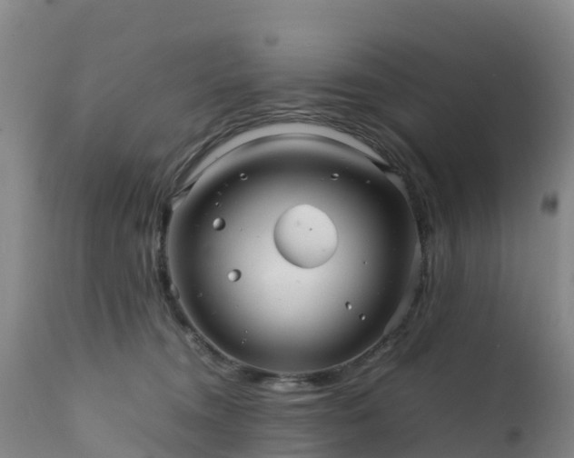 X0000111470372200907201143