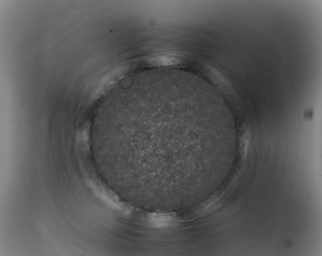 X0000111470373200907201143