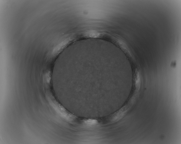 X0000111470374200907201143