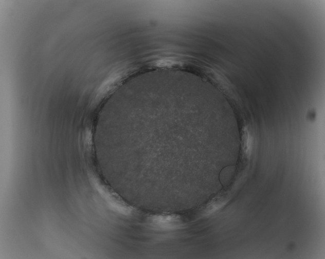 X0000111470375200907201143