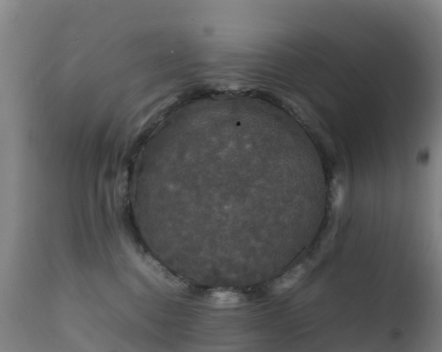 X0000111470376200907201143