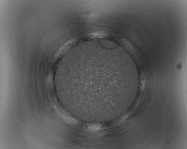 X0000111470377200907201143