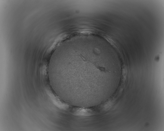 X0000111470379200907201143