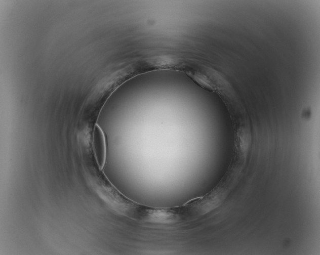 X0000111470380200907201143