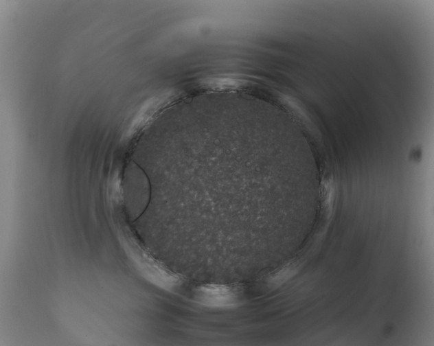 X0000111470381200907201143