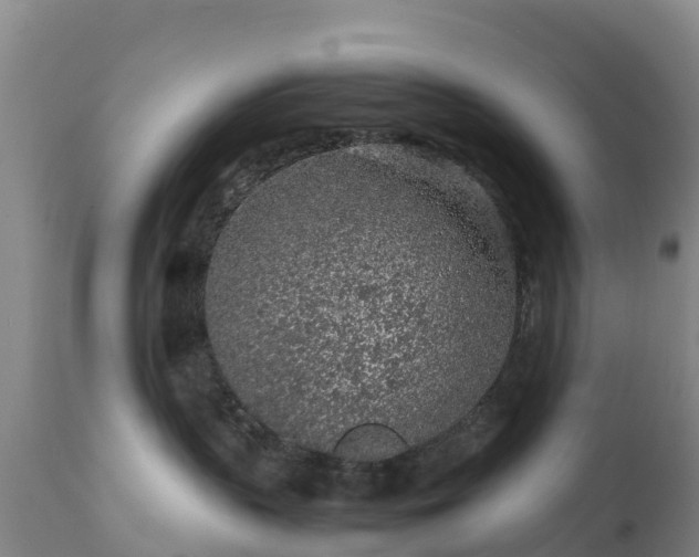 X0000111470383200907201143