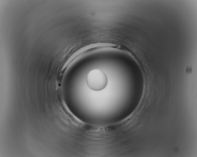 X0000111470384200907201143