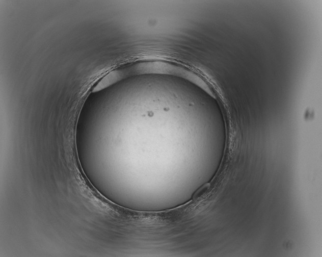 X0000111470385200907201142