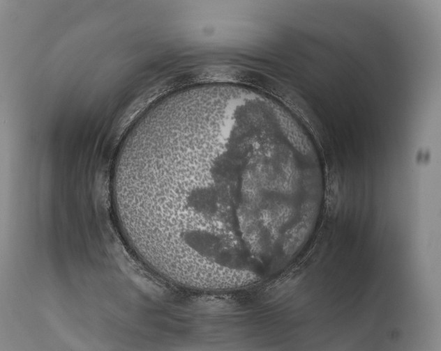 X0000111470386200907201142