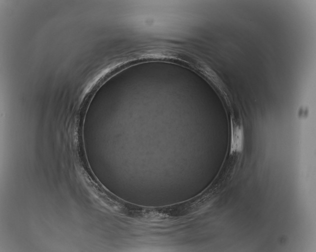 X0000111470387200907201142