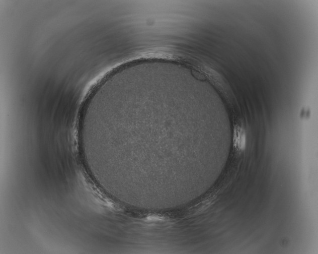 X0000111470388200907201142