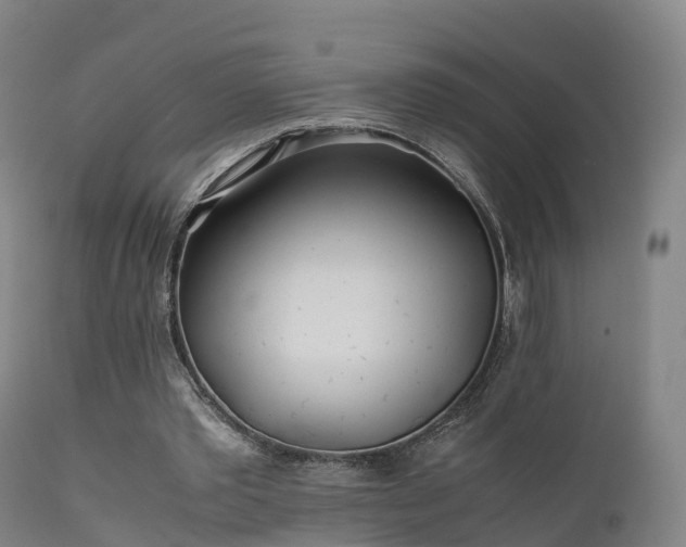 X0000111470389200907201142