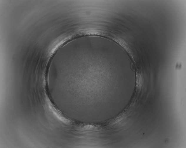 X0000111470390200907201142