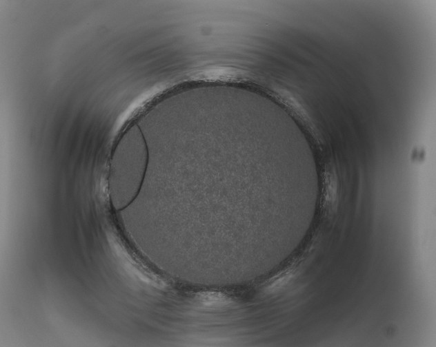 X0000111470392200907201142