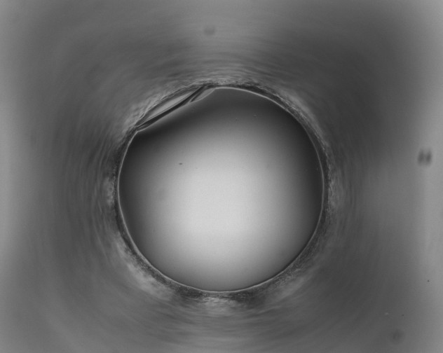 X0000111470393200907201142