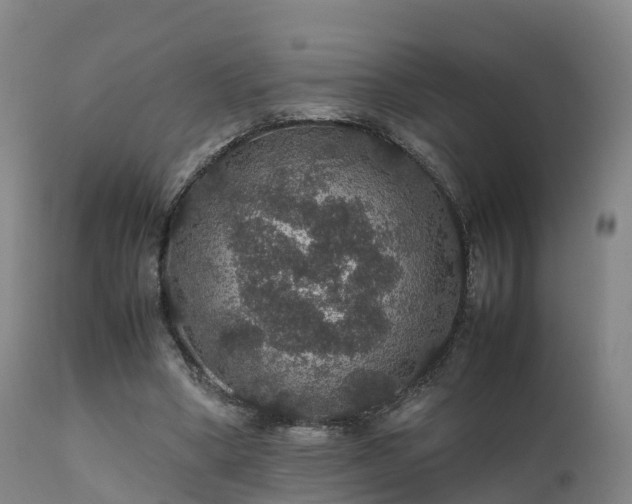 X0000111470394200907201142