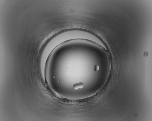 X0000111470395200907201142