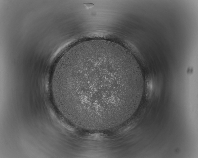 X0000111470396200907201142