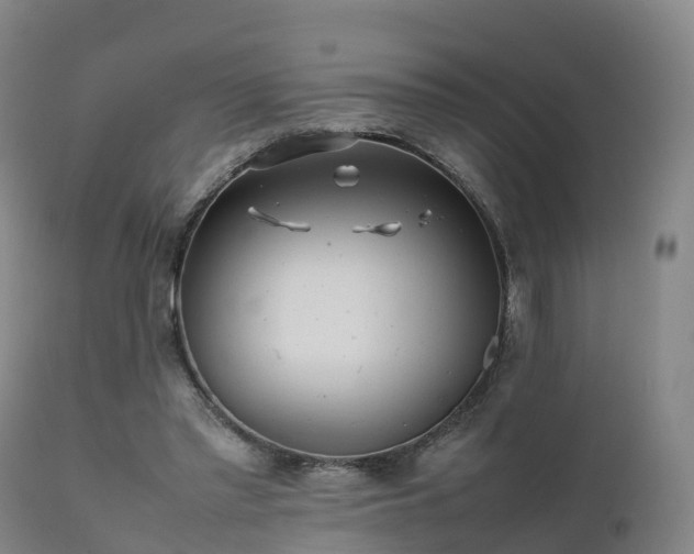 X0000111470397200907201142