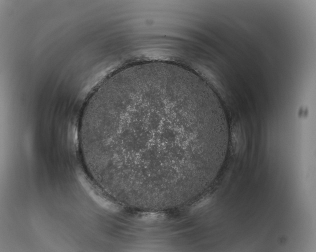 X0000111470398200907201142