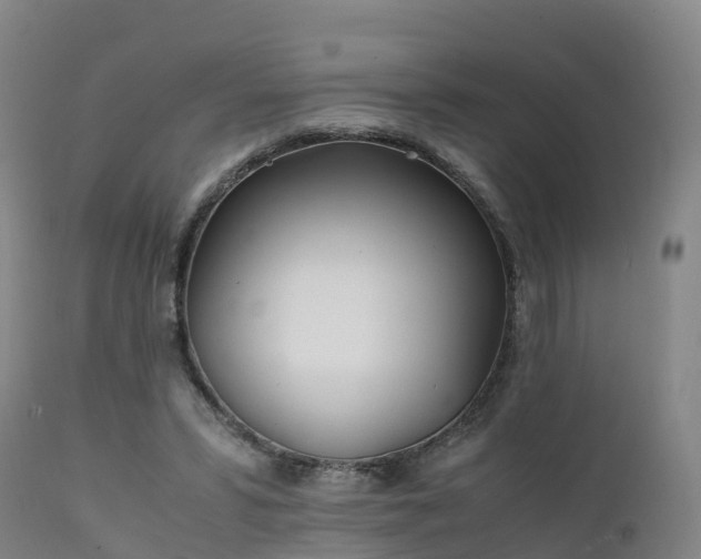 X0000111470399200907201142