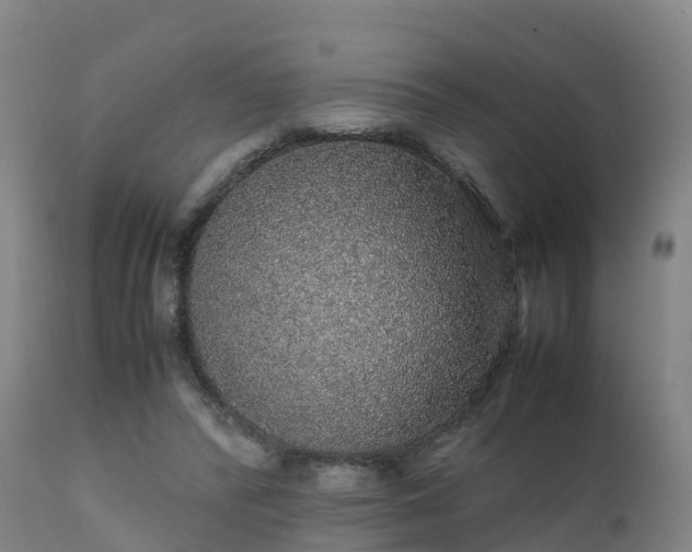 X0000111470400200907201142