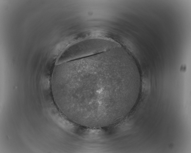 X0000111470401200907201142