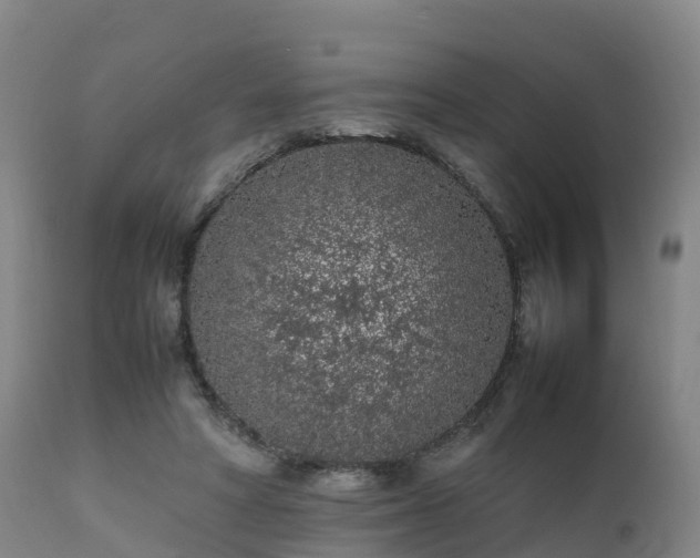 X0000111470402200907201142