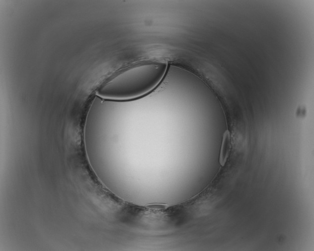 X0000111470403200907201142