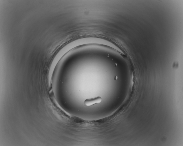 X0000111470405200907201142