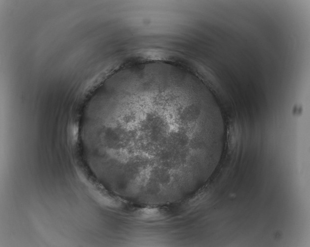 X0000111470406200907201142