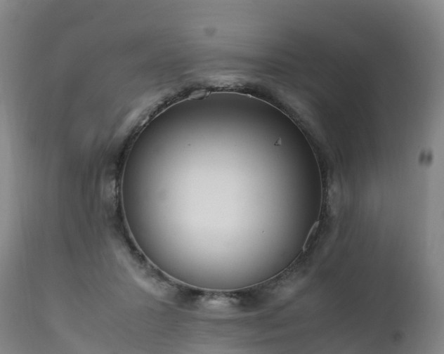 X0000111470407200907201142