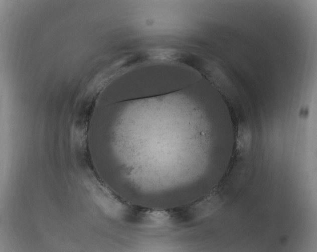 X0000111470409200907201142