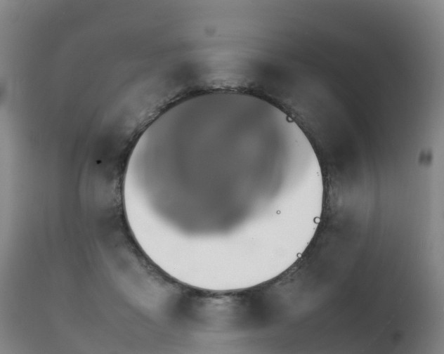 X0000111470411200907201142