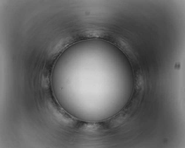 X0000111470414200907201142