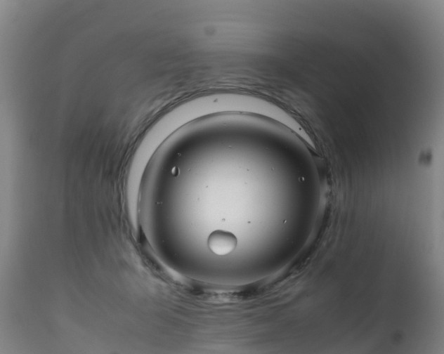 X0000111470415200907201142