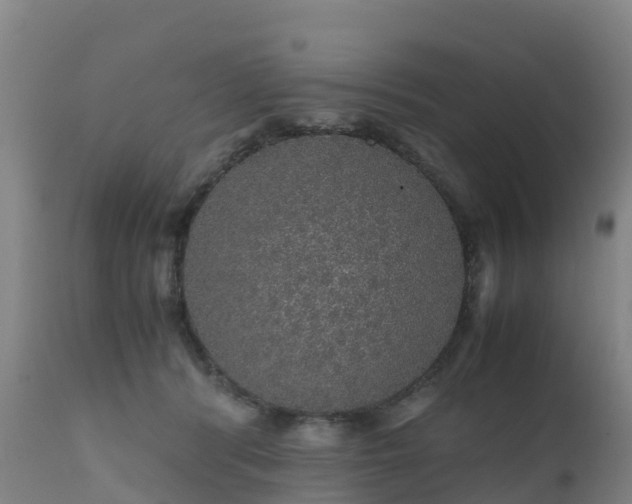 X0000111470416200907201142