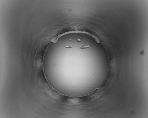 X0000111470417200907201142